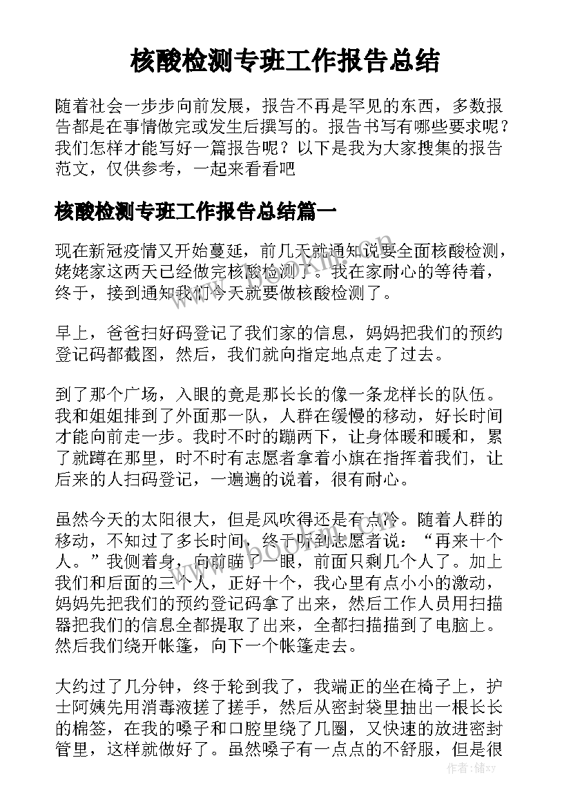 核酸检测专班工作报告总结