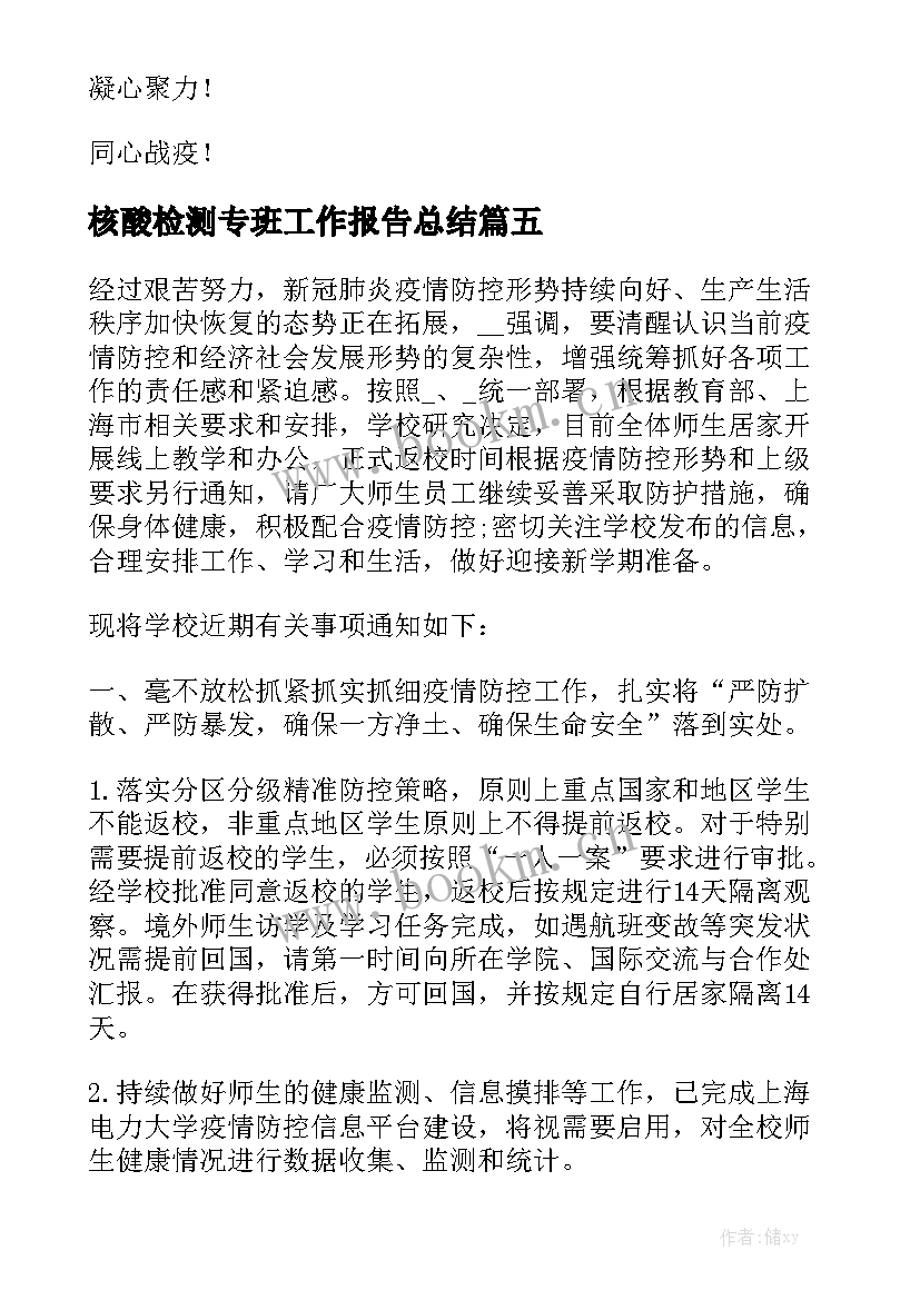 核酸检测专班工作报告总结