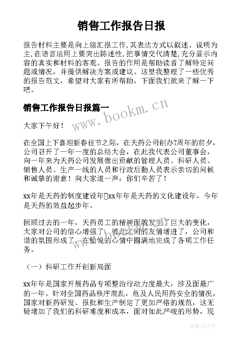 销售工作报告日报