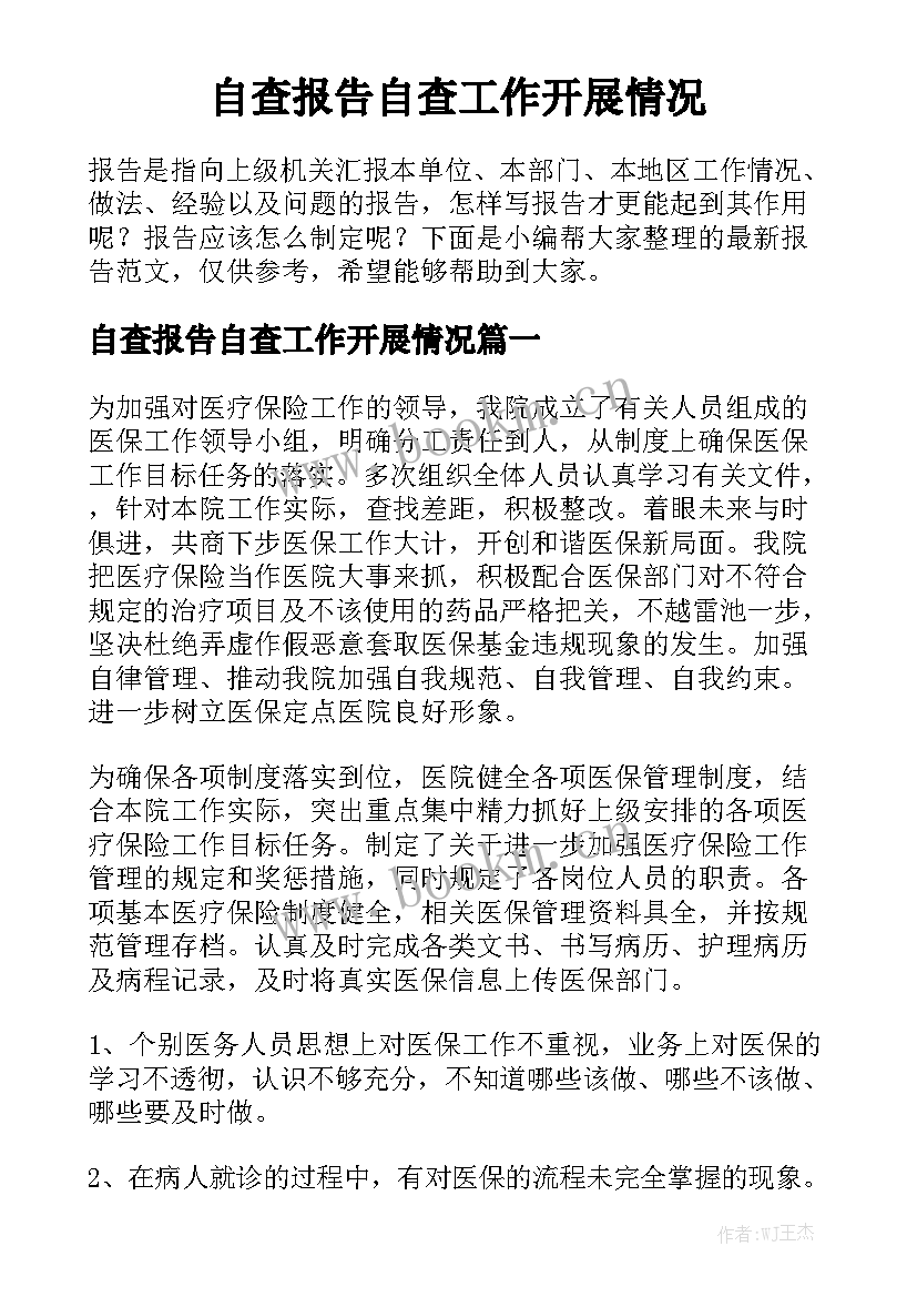 自查报告自查工作开展情况