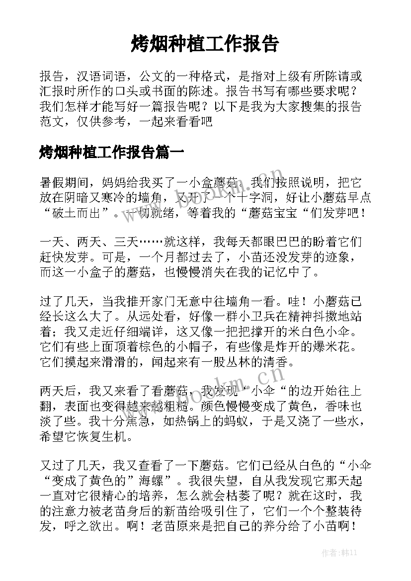 烤烟种植工作报告