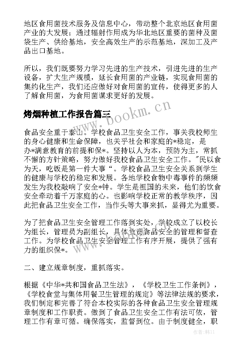 烤烟种植工作报告