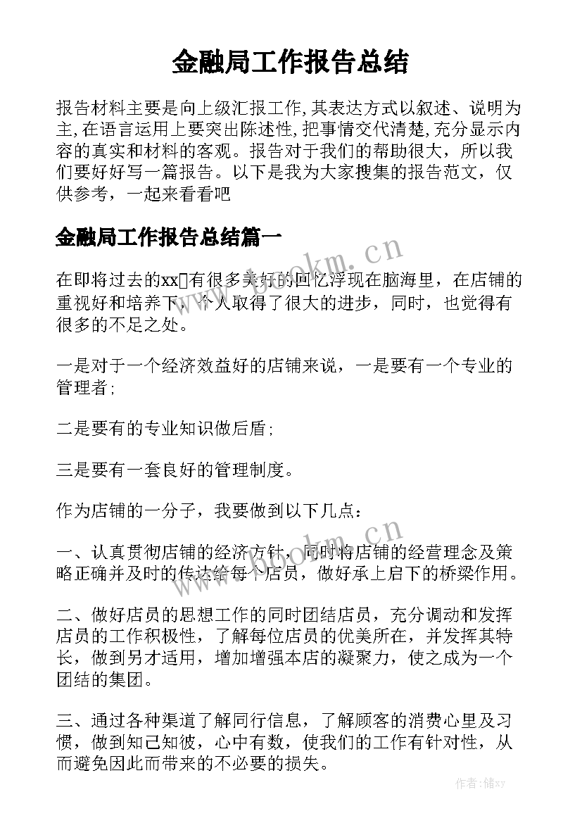 金融局工作报告总结