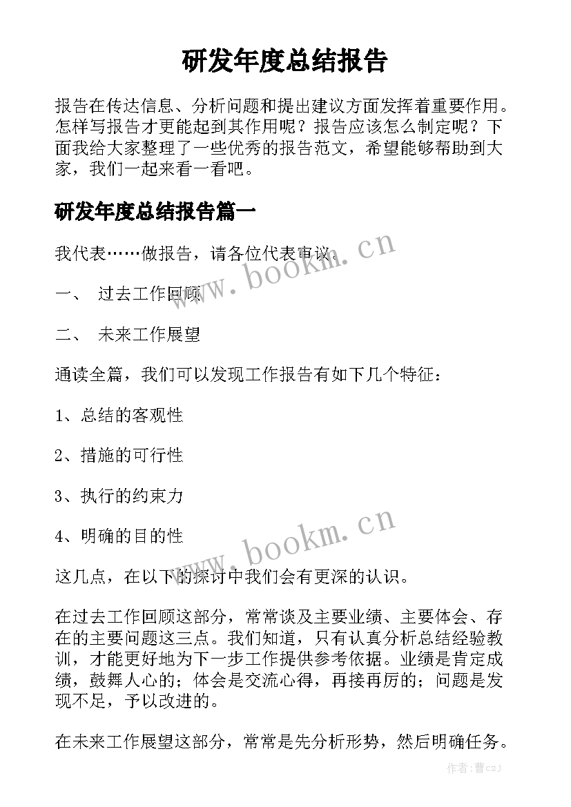 研发年度总结报告