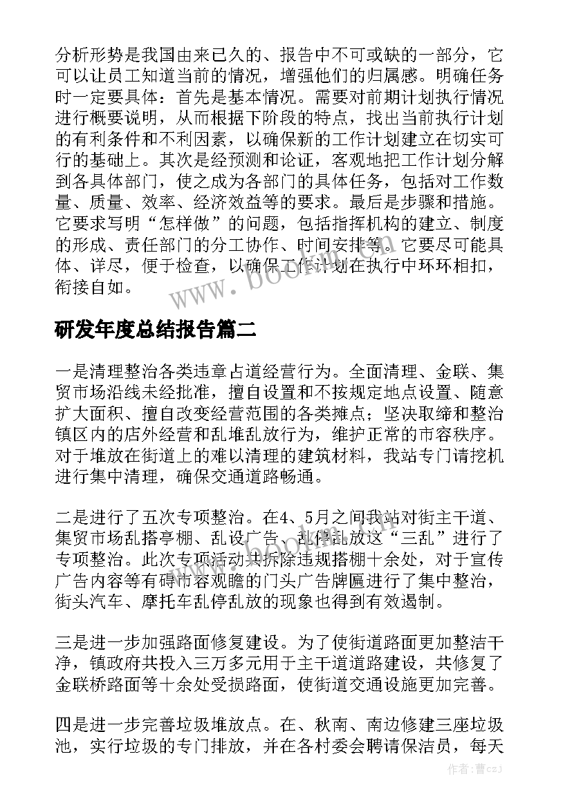 研发年度总结报告