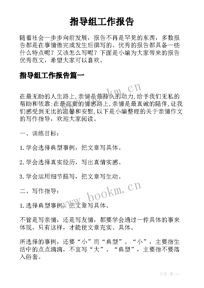 指导组工作报告