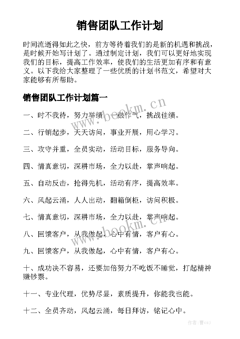 销售团队工作计划