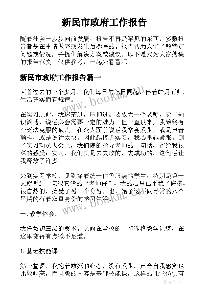 新民市政府工作报告