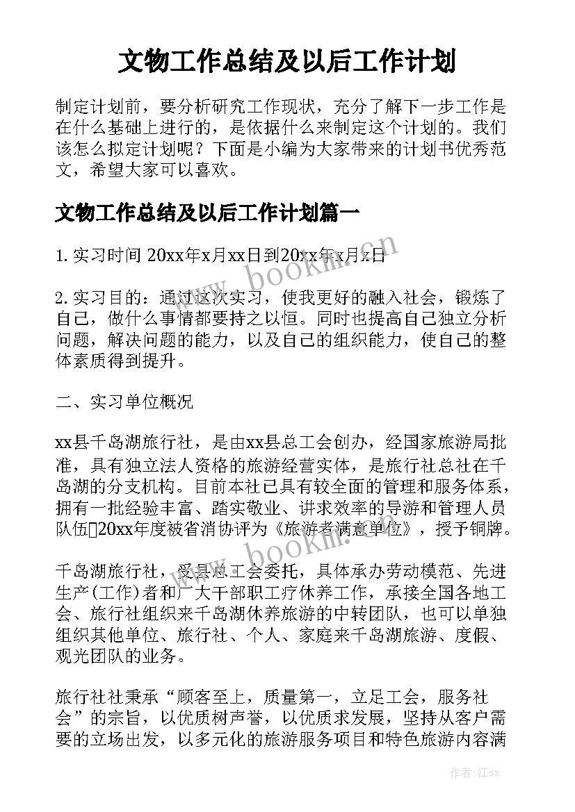 文物工作总结及以后工作计划