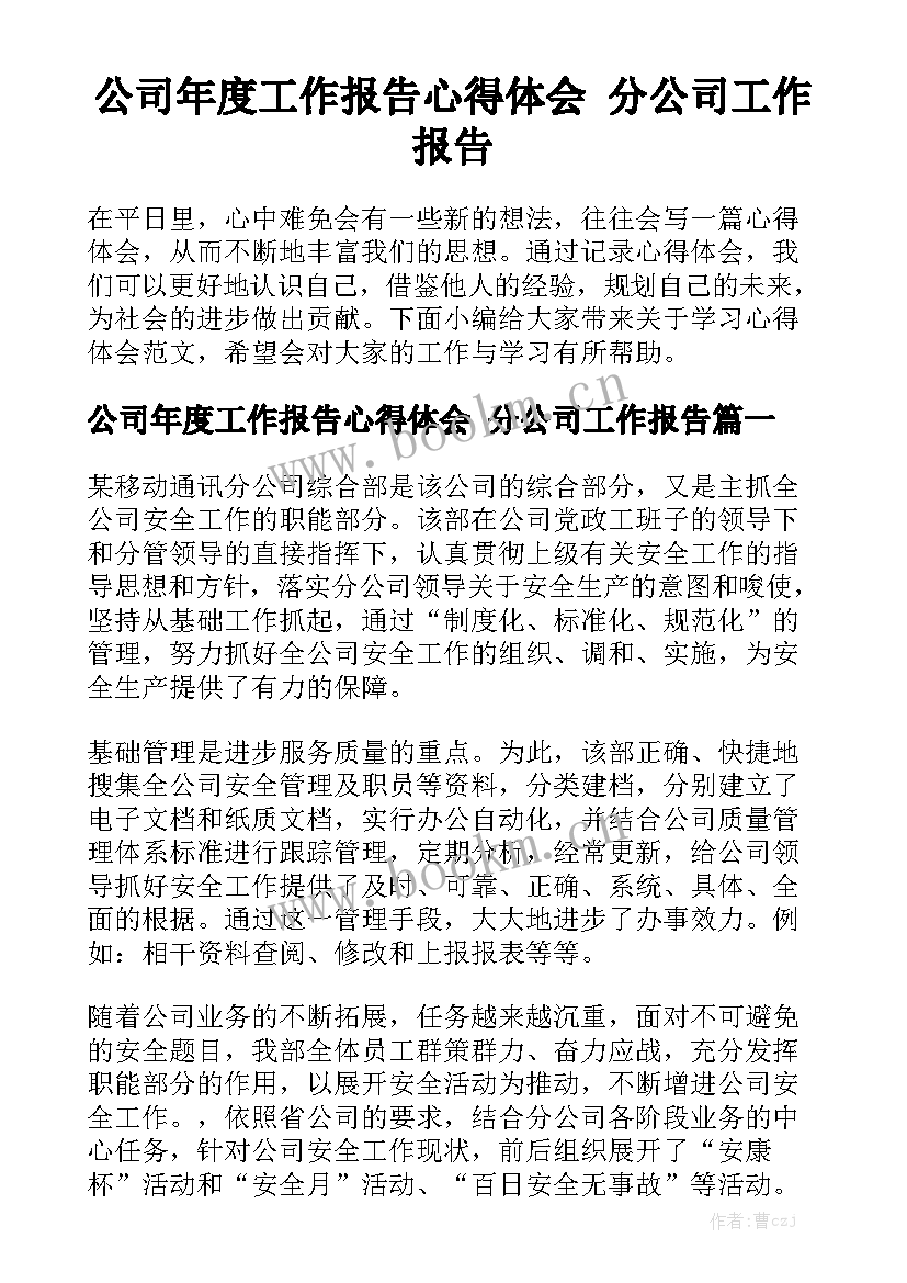 公司年度工作报告心得体会 分公司工作报告