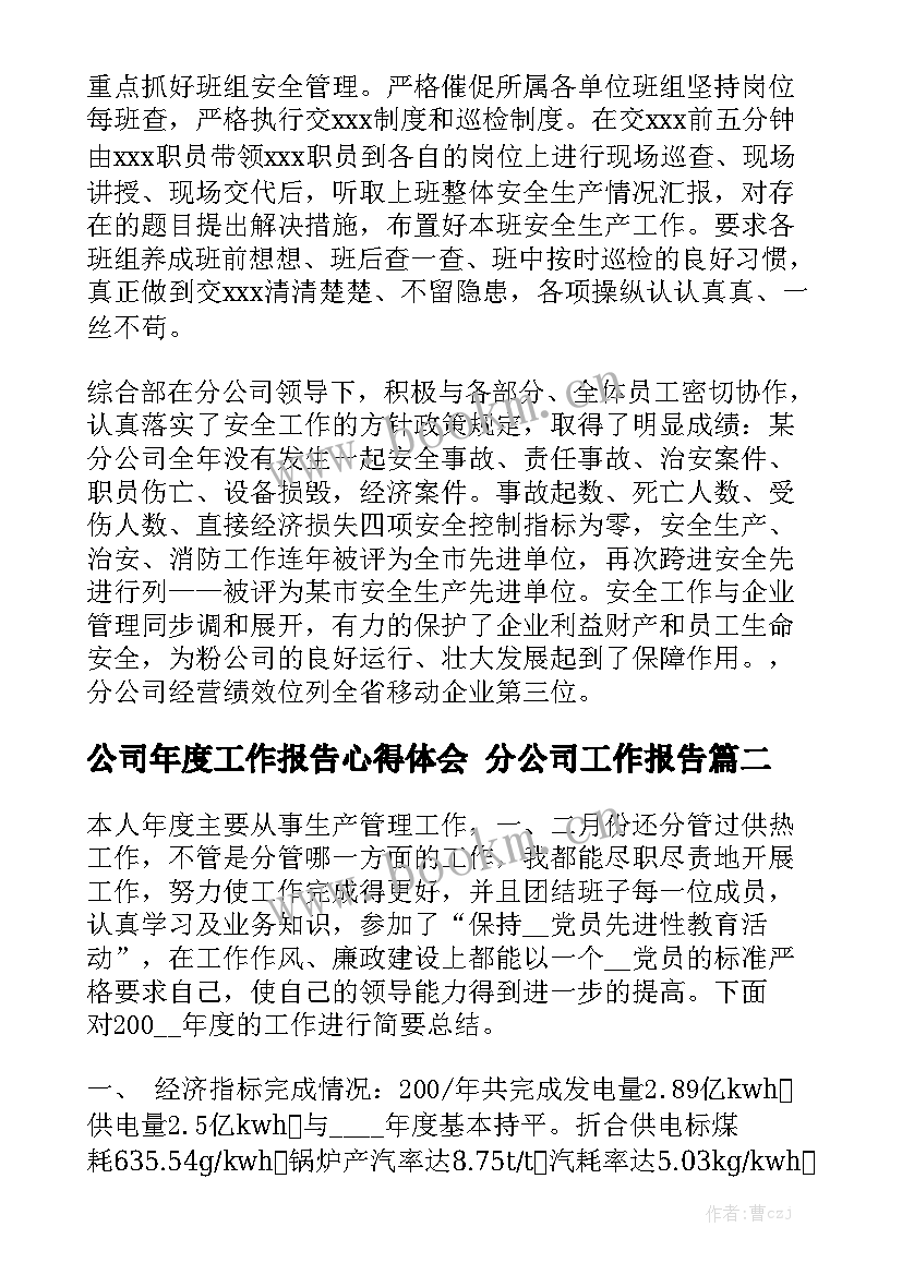 公司年度工作报告心得体会 分公司工作报告