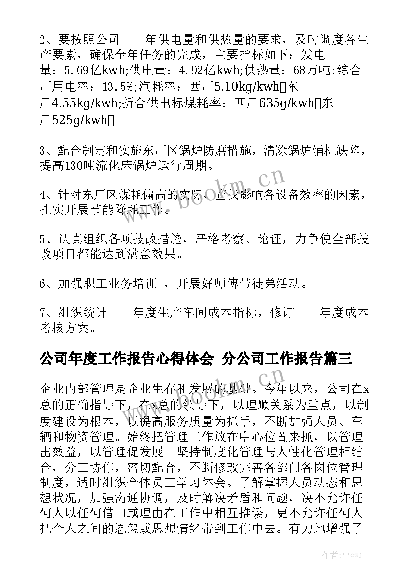 公司年度工作报告心得体会 分公司工作报告