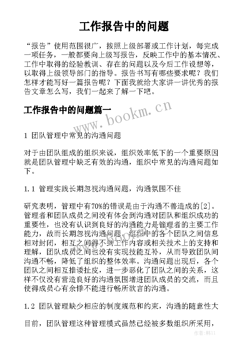 工作报告中的问题