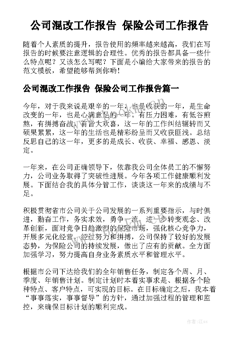 公司混改工作报告 保险公司工作报告