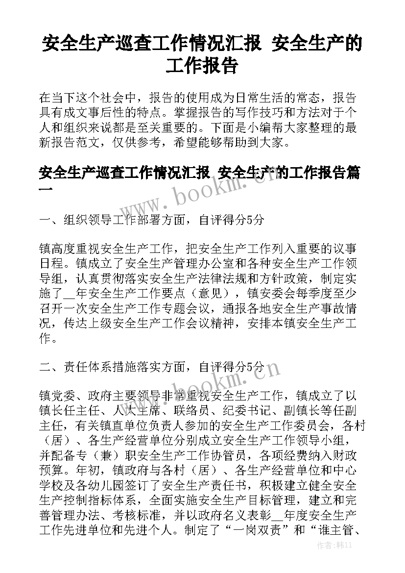 安全生产巡查工作情况汇报 安全生产的工作报告