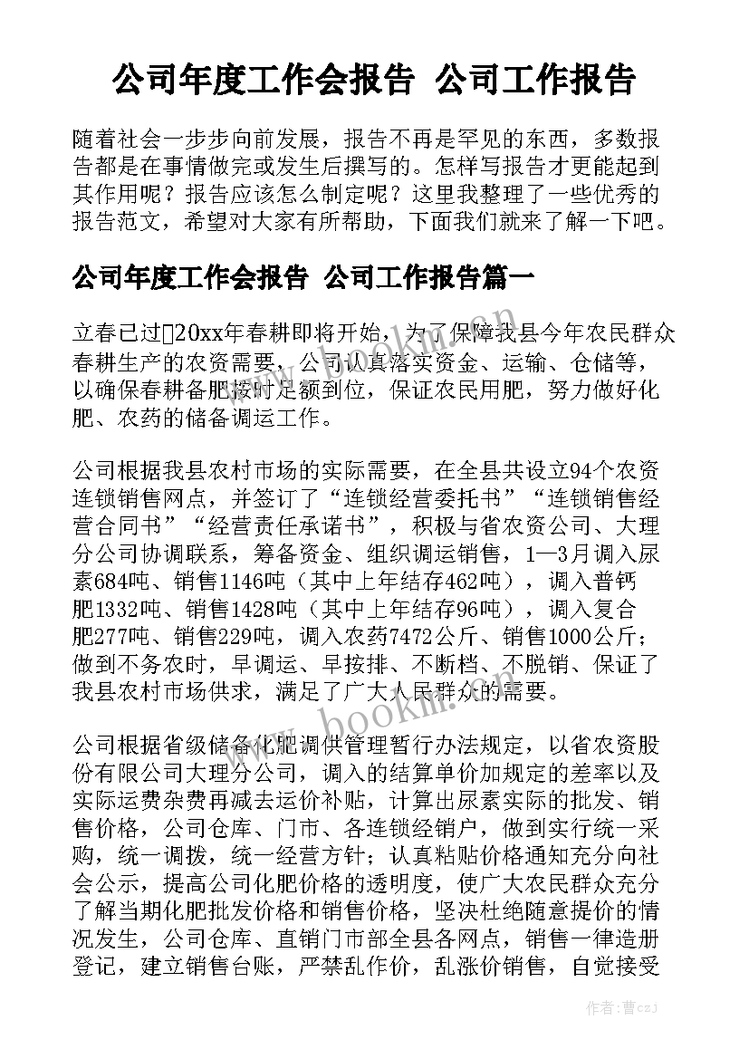 公司年度工作会报告 公司工作报告