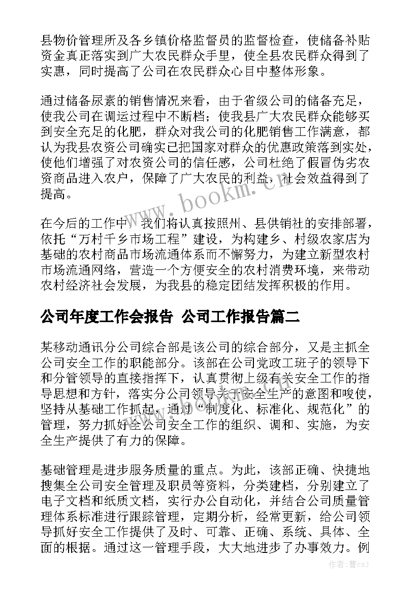 公司年度工作会报告 公司工作报告