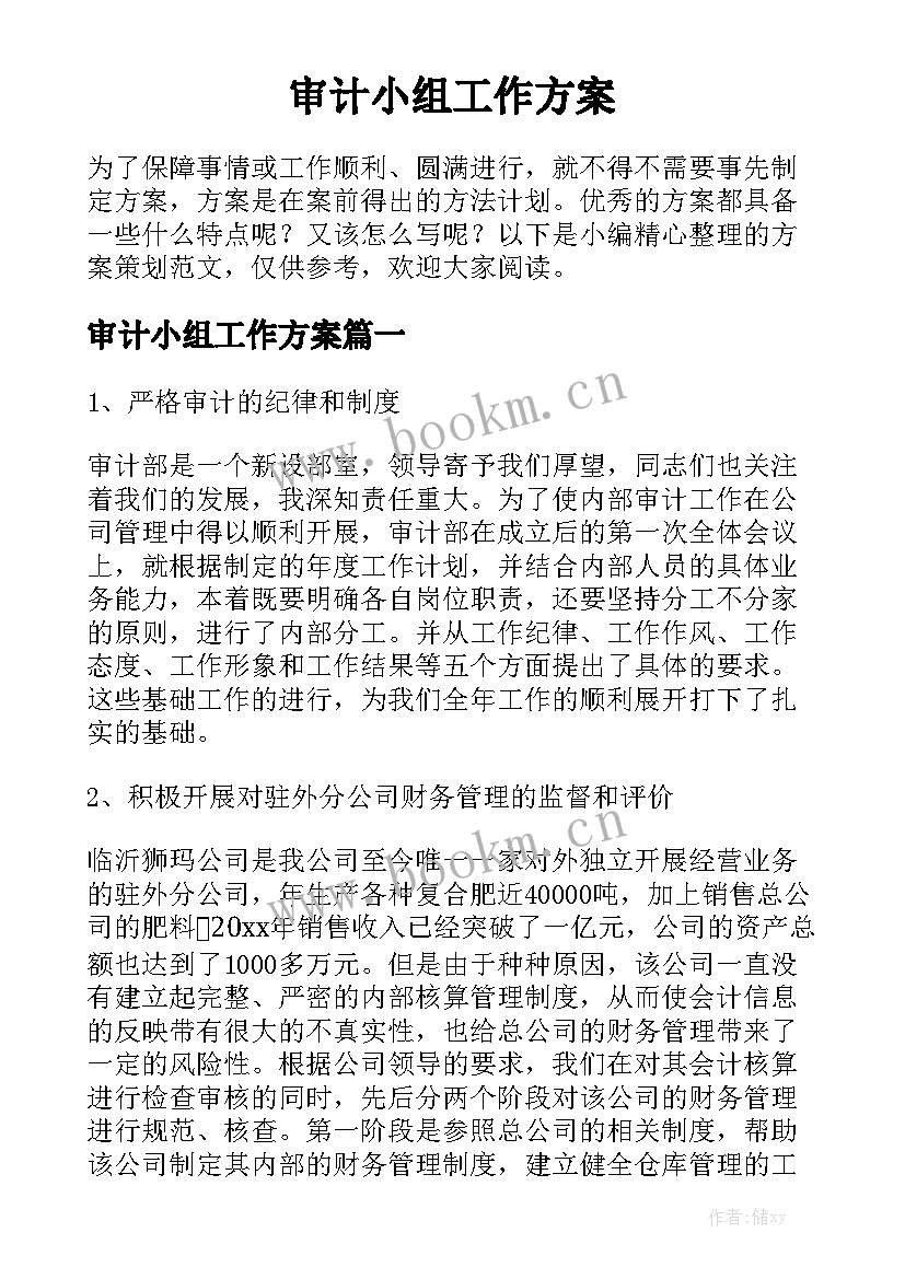 审计小组工作方案