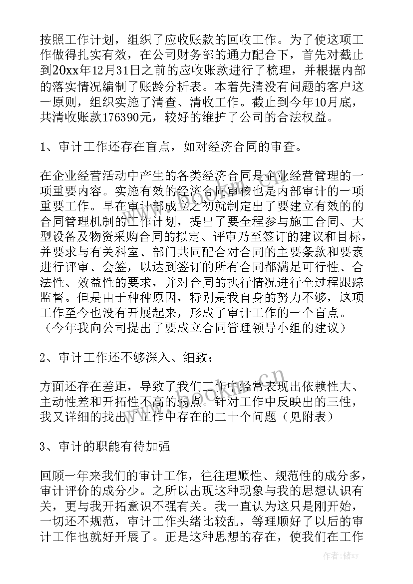 审计小组工作方案