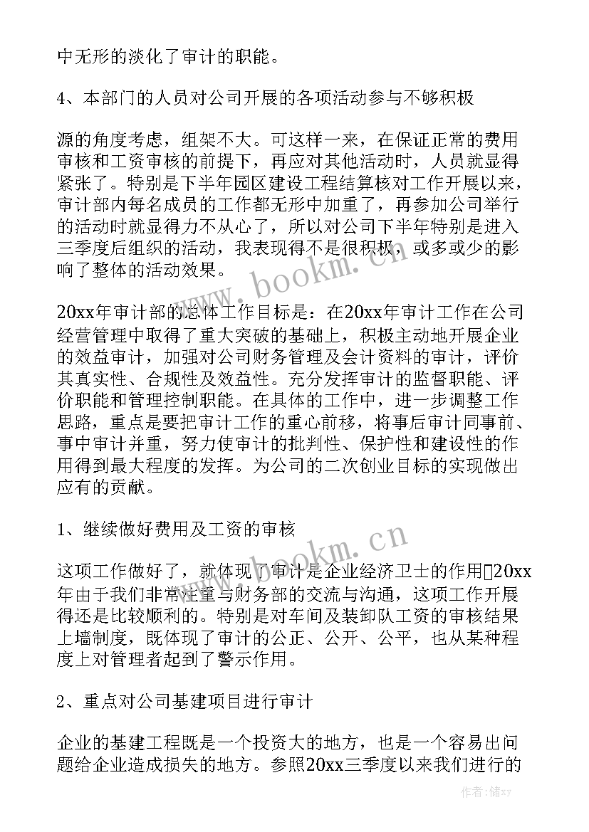 审计小组工作方案