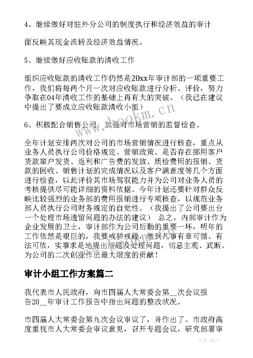 审计小组工作方案