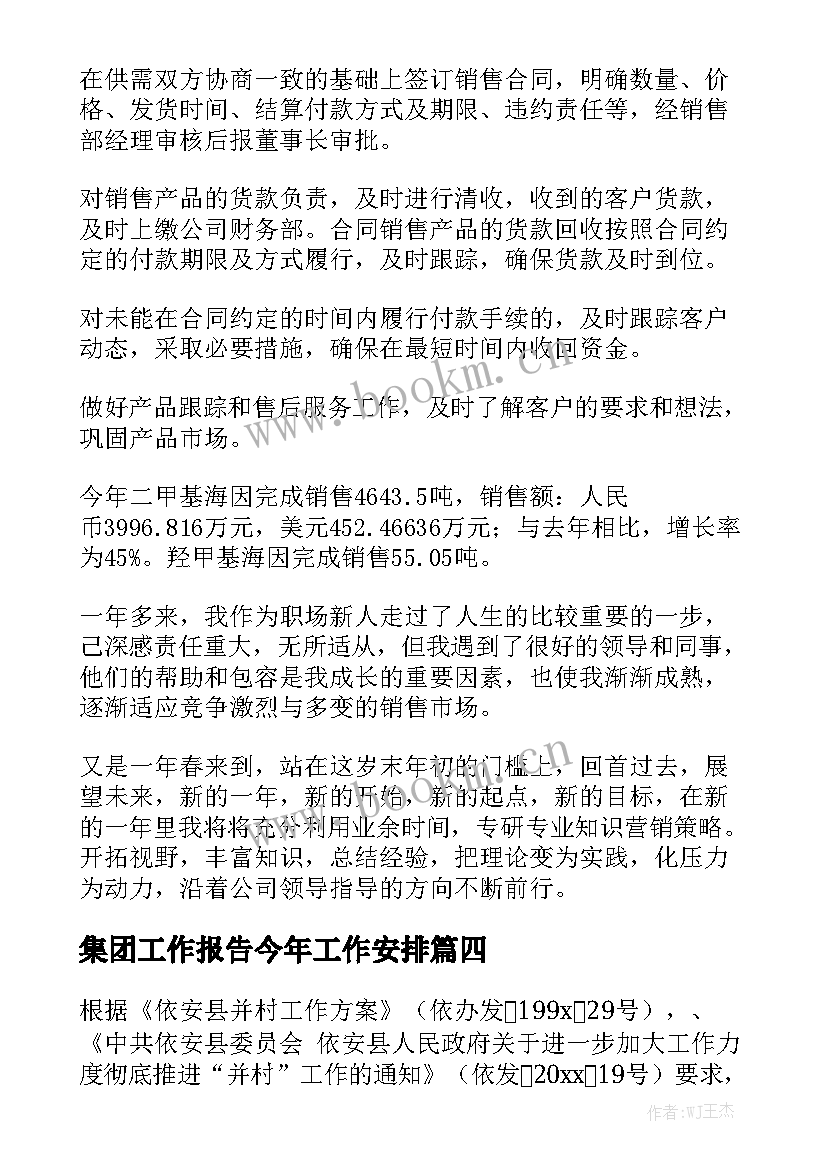 集团工作报告今年工作安排