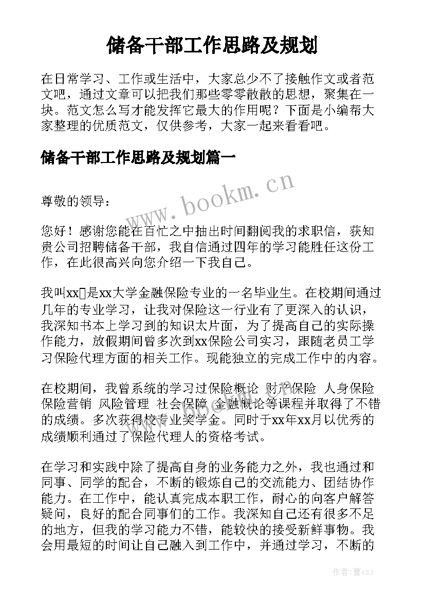 储备干部工作思路及规划