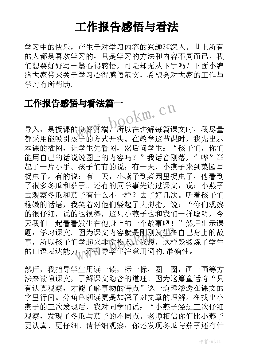 工作报告感悟与看法