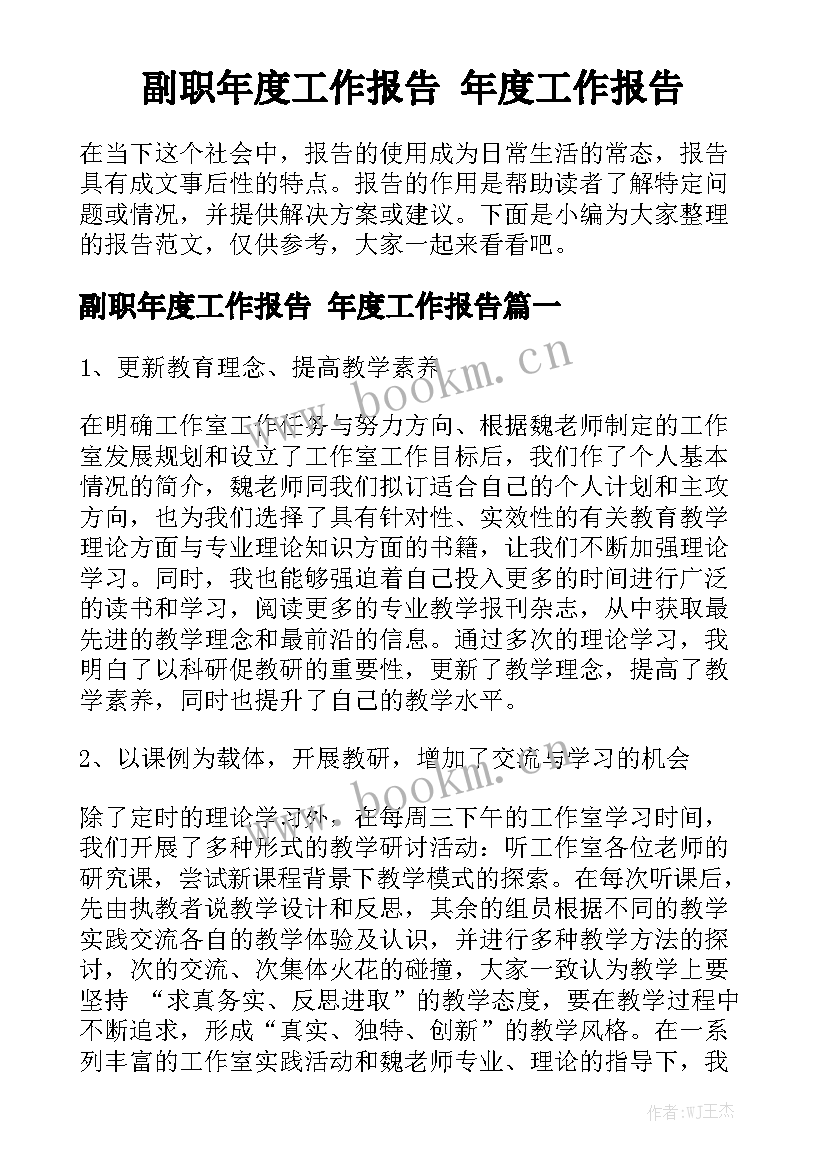 副职年度工作报告 年度工作报告