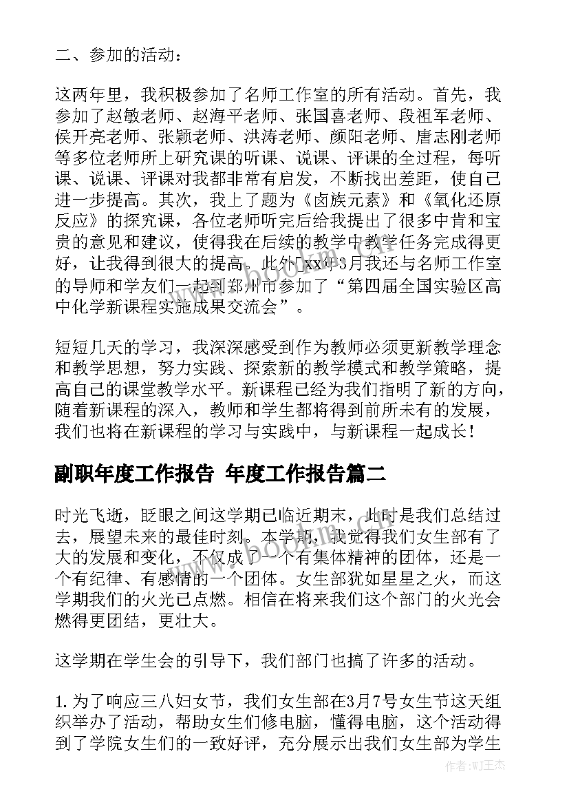 副职年度工作报告 年度工作报告