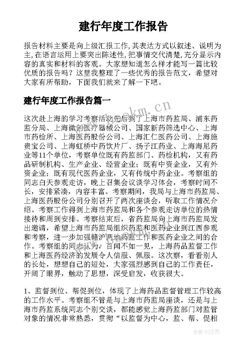 建行年度工作报告