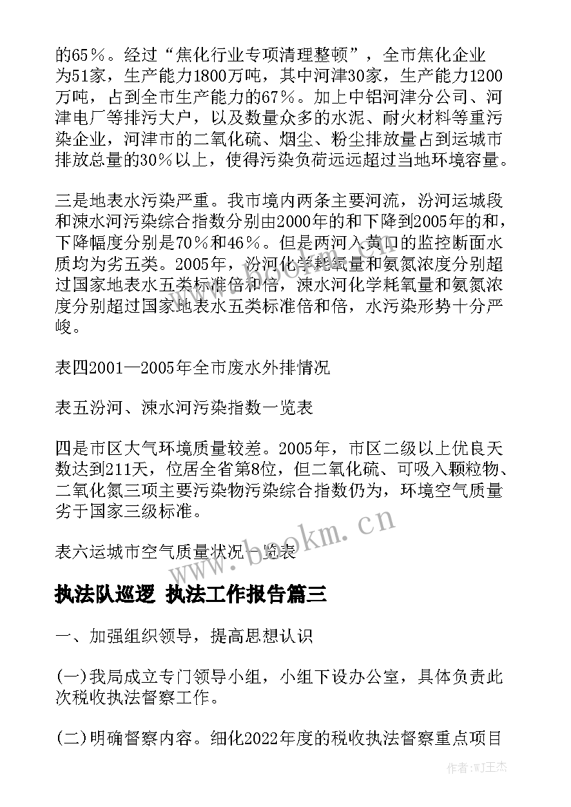 执法队巡逻 执法工作报告