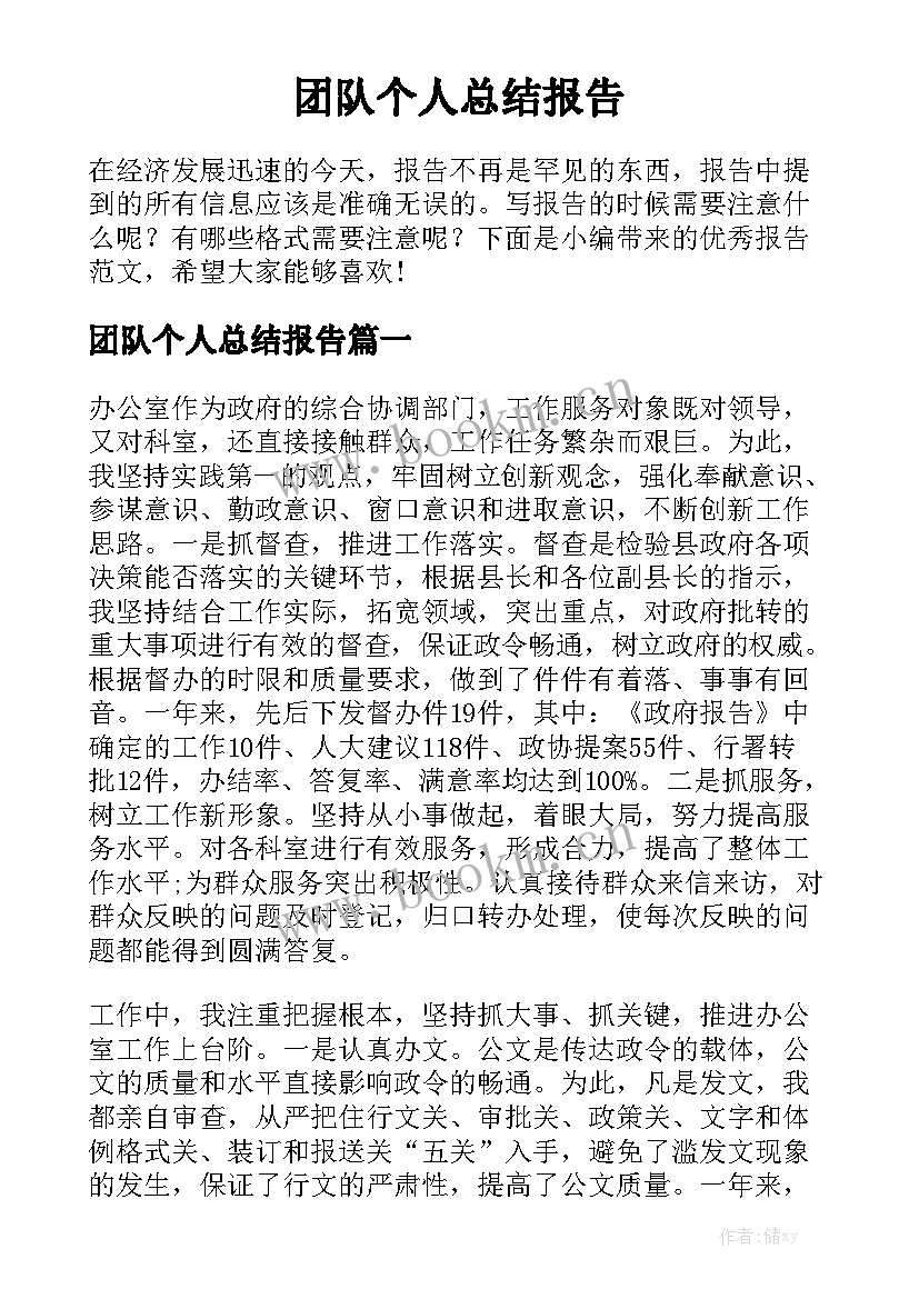 团队个人总结报告