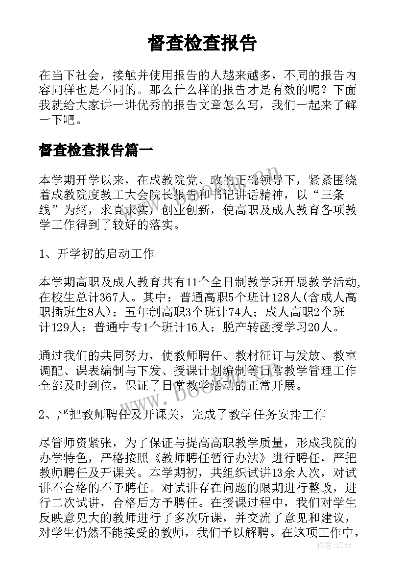 督查检查报告