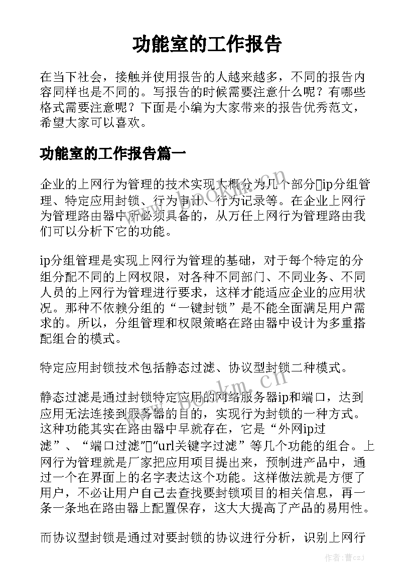 功能室的工作报告