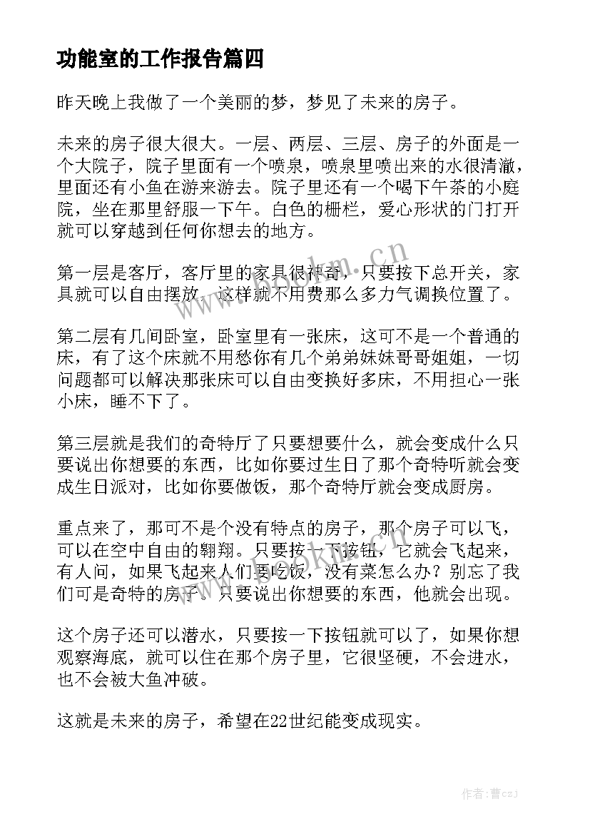 功能室的工作报告