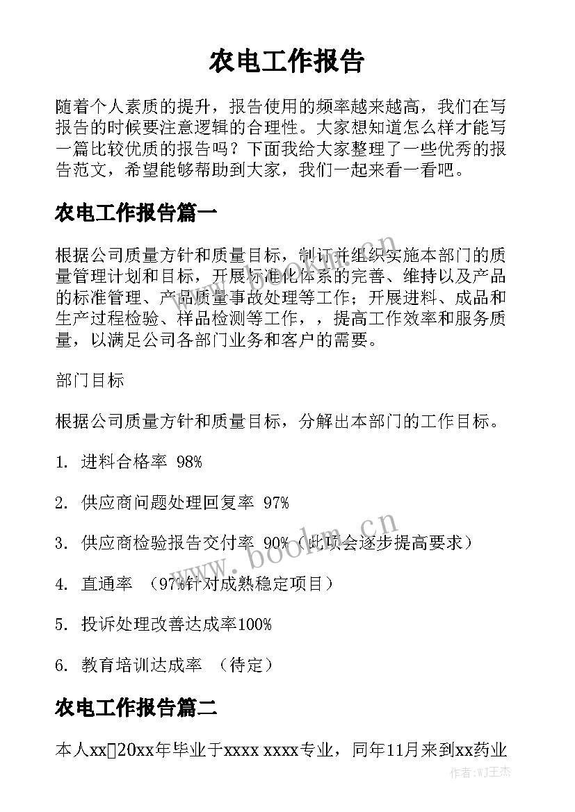 农电工作报告