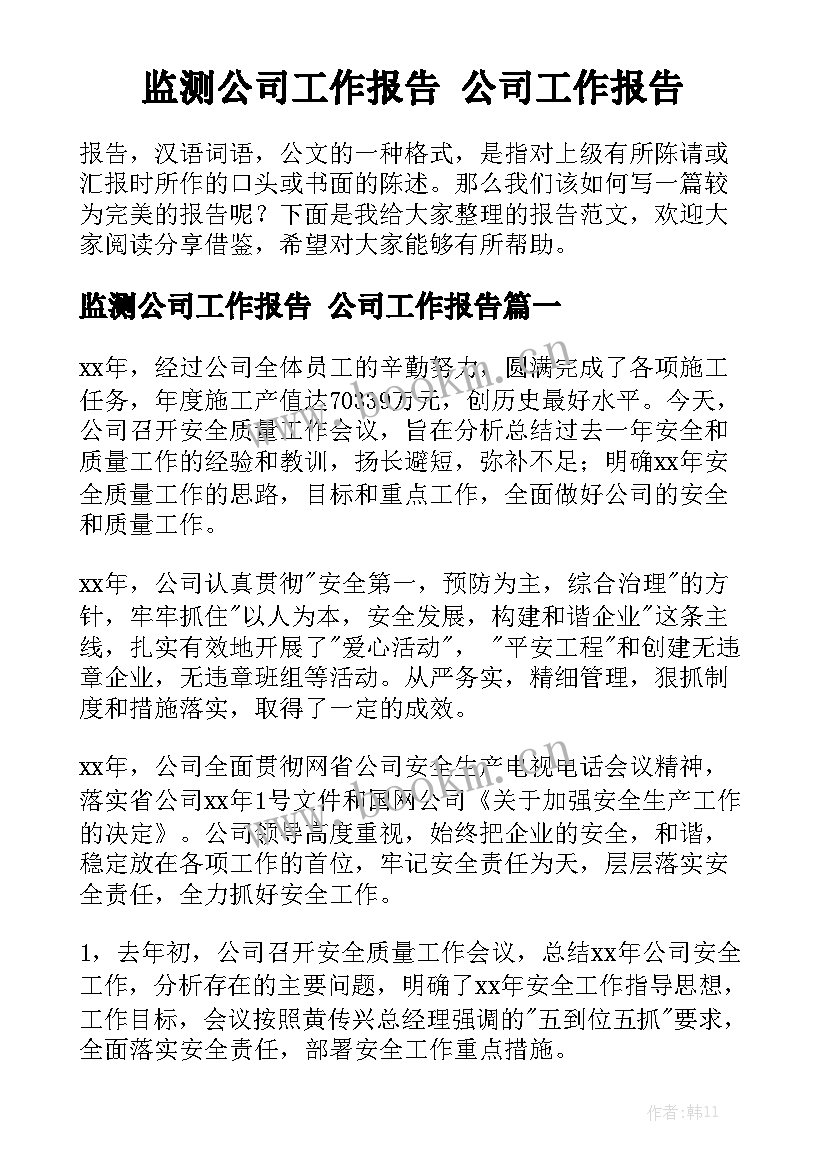 监测公司工作报告 公司工作报告