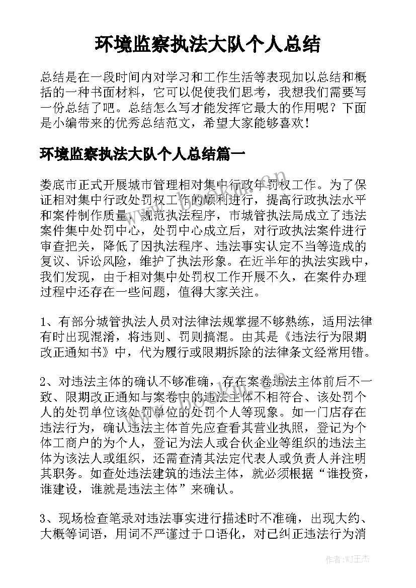 环境监察执法大队个人总结