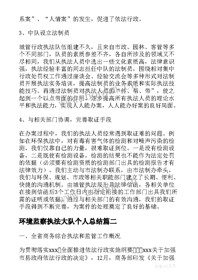 环境监察执法大队个人总结