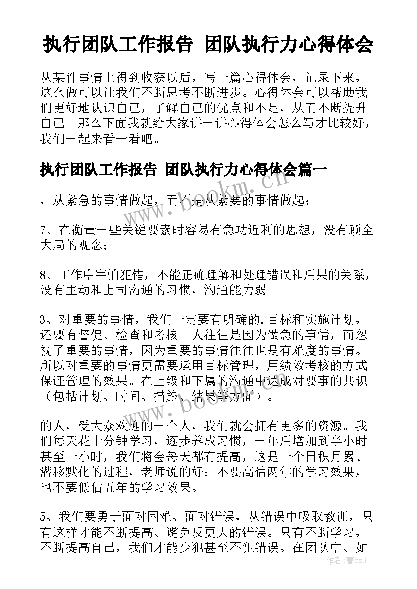 执行团队工作报告 团队执行力心得体会