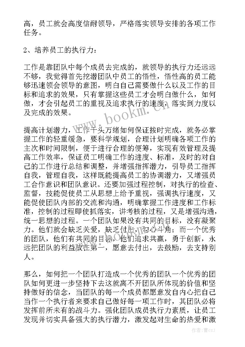 执行团队工作报告 团队执行力心得体会