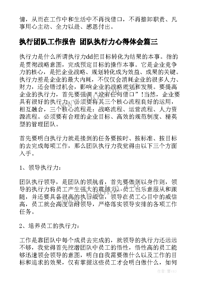 执行团队工作报告 团队执行力心得体会