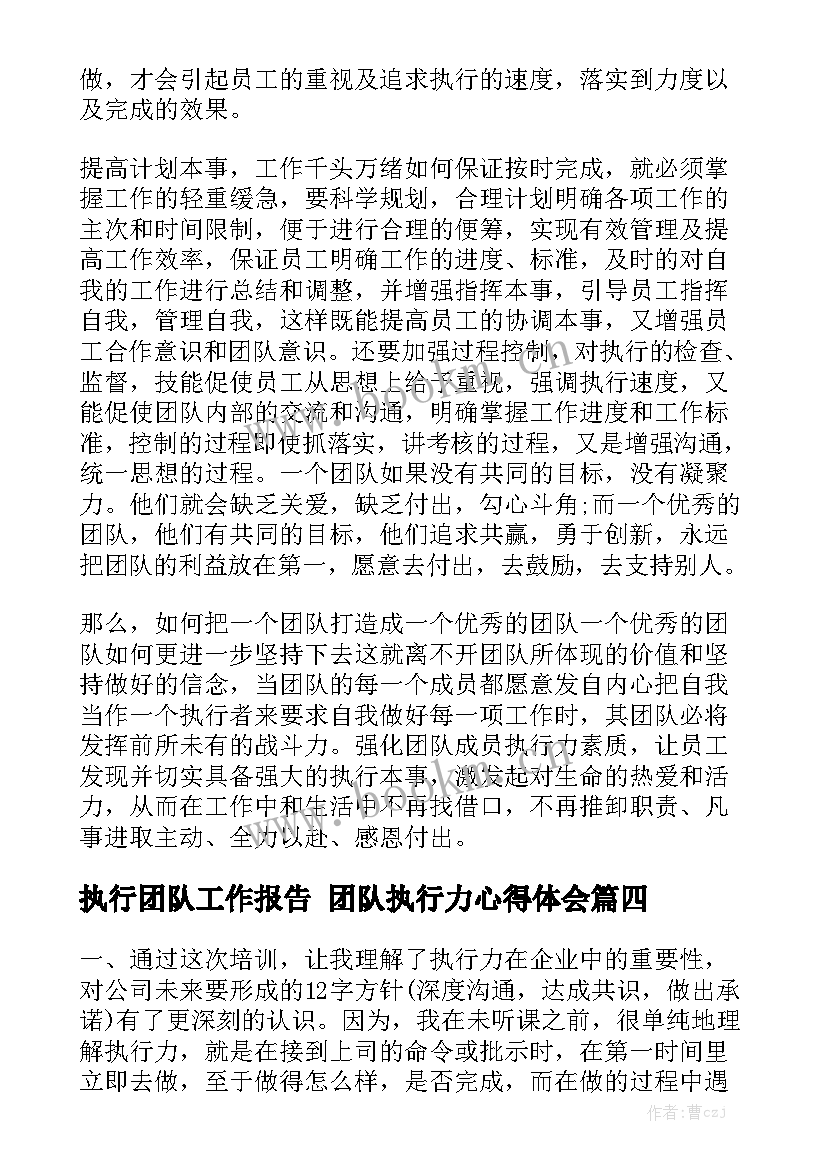 执行团队工作报告 团队执行力心得体会