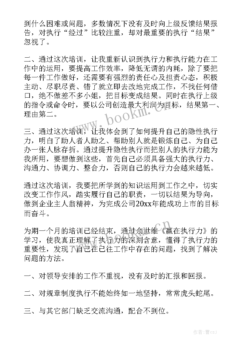 执行团队工作报告 团队执行力心得体会