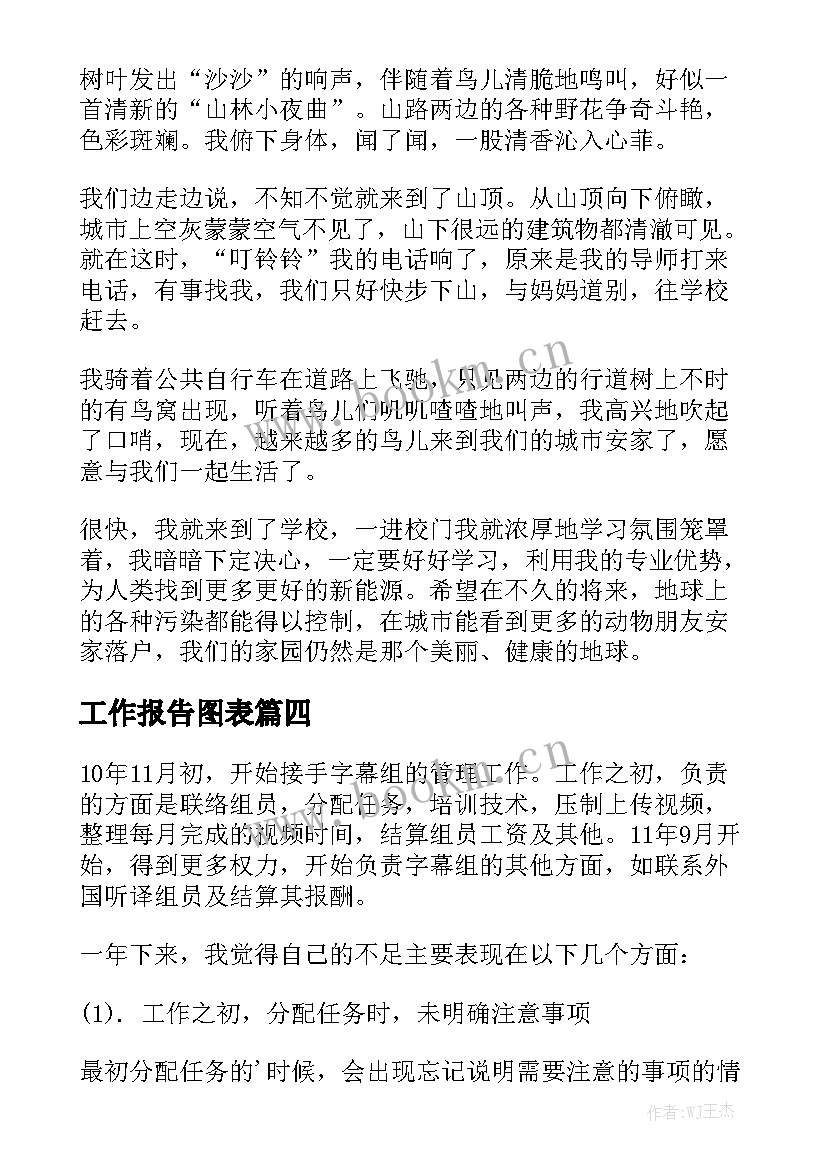 工作报告图表