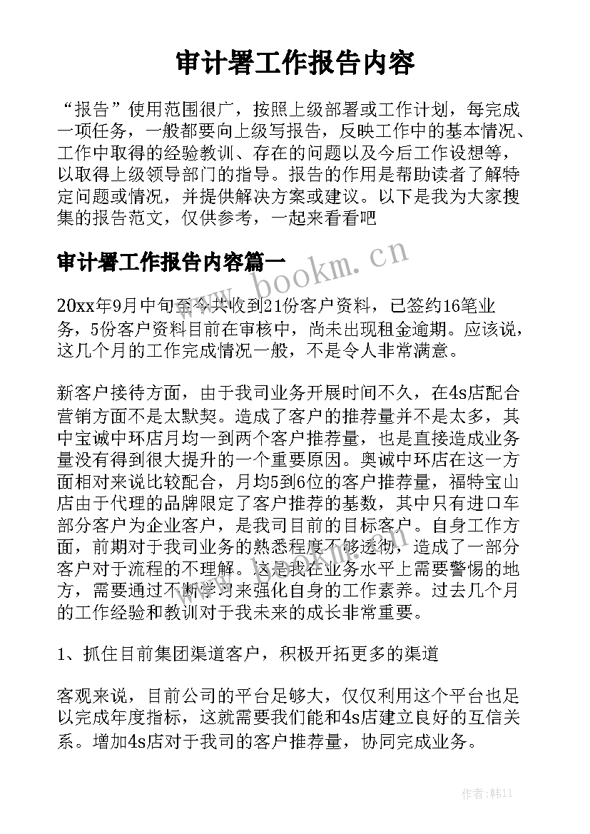 审计署工作报告内容