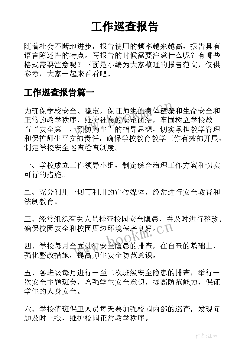 工作巡查报告