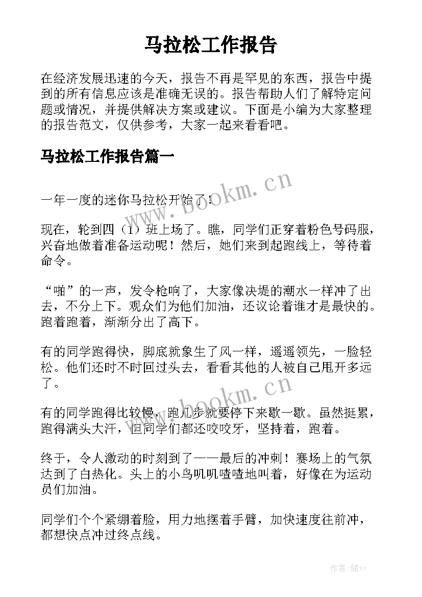 马拉松工作报告