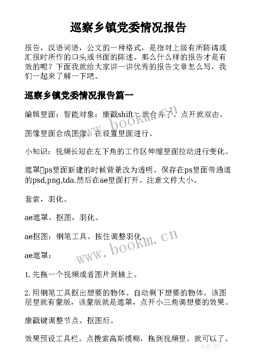 巡察乡镇党委情况报告